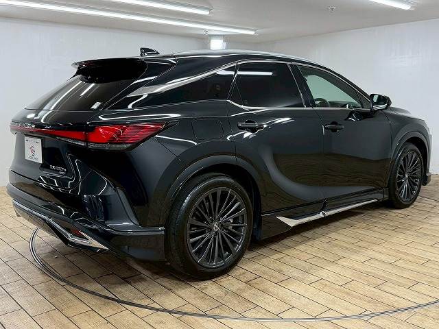 レクサス&nbsp;RXの画像16