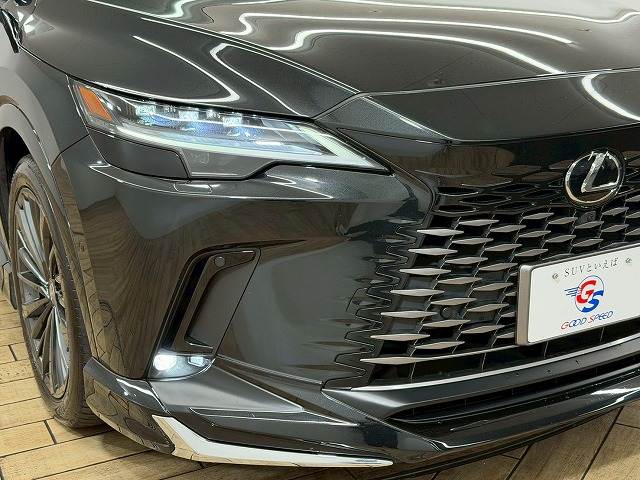 レクサス&nbsp;RXの画像20