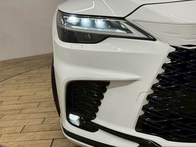 レクサス&nbsp;RXの画像19