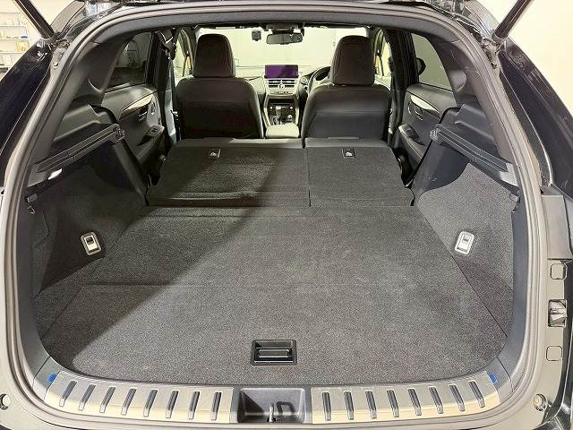 レクサス&nbsp;NXの画像13