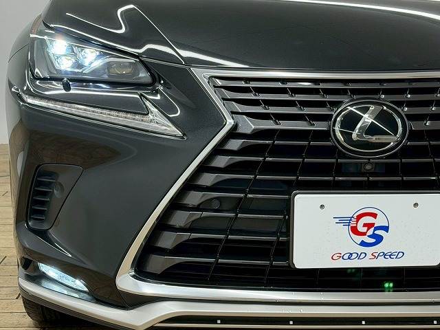 レクサス&nbsp;NXの画像19