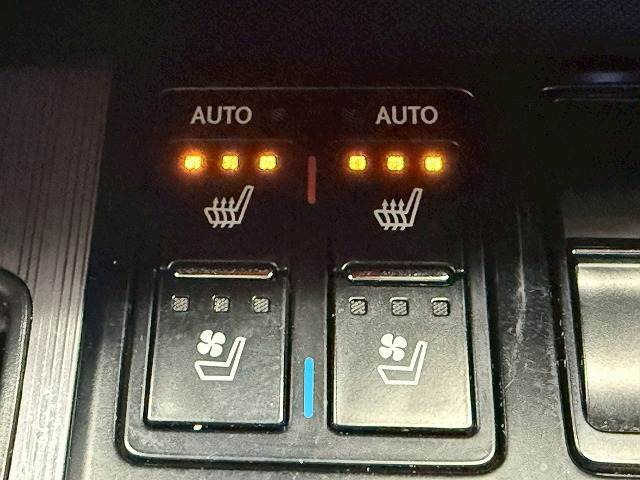 レクサス RXの画像12