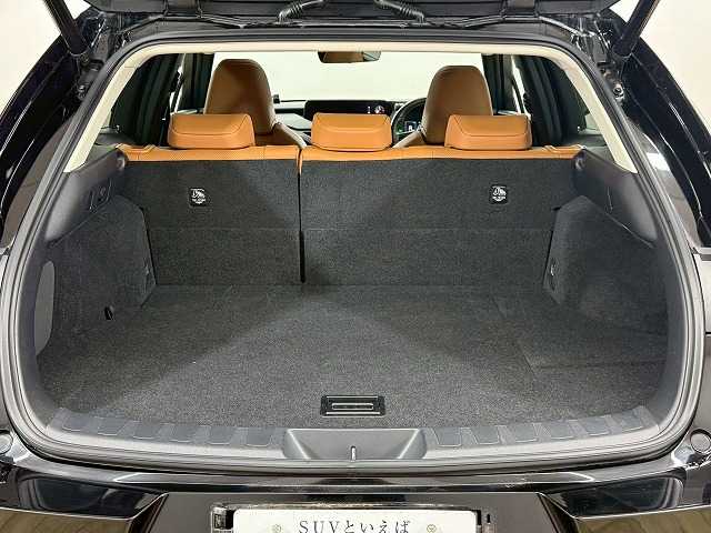 レクサス&nbsp;UXの画像13