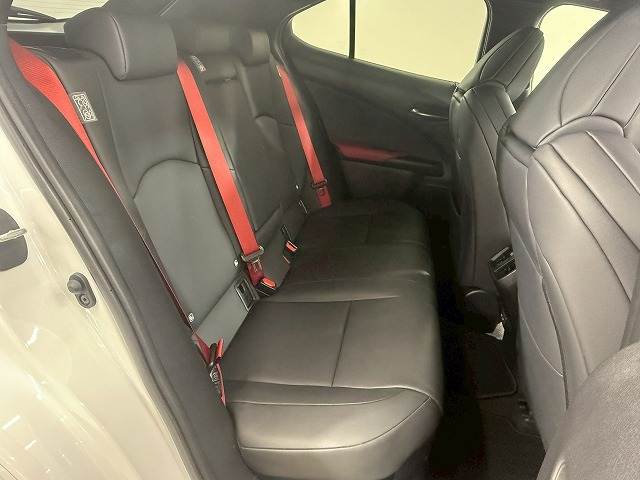 UXUX250h“F SPORT Emotional Explorer” 内装他