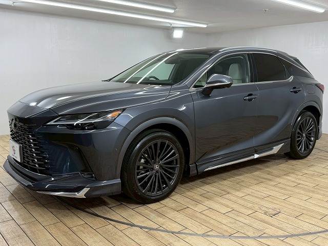 レクサス&nbsp;RXの画像15