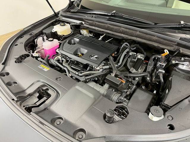 レクサス&nbsp;RXの画像18