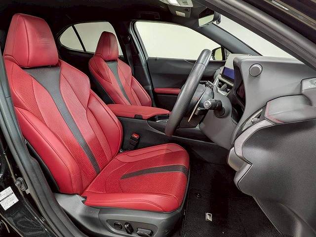 UXUX250h“F SPORT Emotional Explorer” 内装他