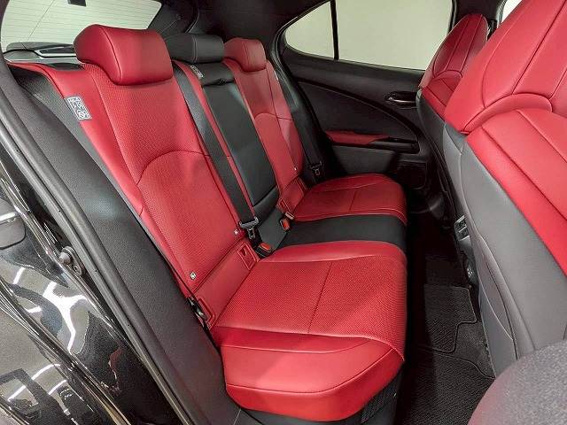 UXUX250h“F SPORT Emotional Explorer” 内装他