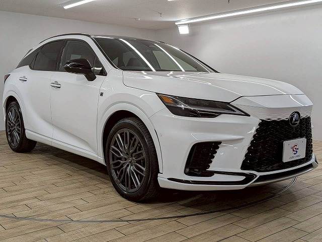 レクサス&nbsp;RXの画像14