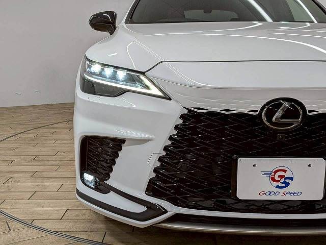 レクサス&nbsp;RXの画像19