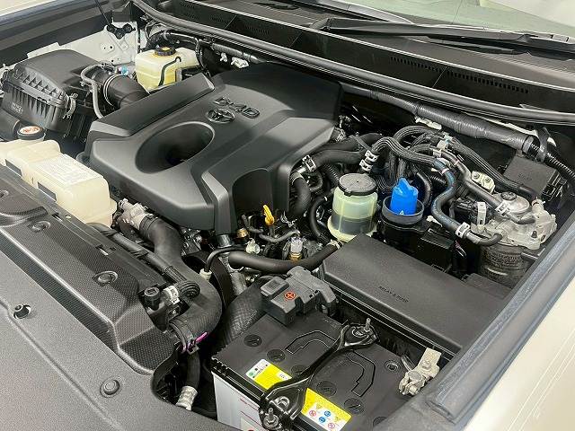 トヨタ&nbsp;ランドクルーザープラドの画像18