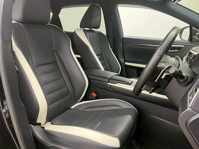 RXRX300 “F SPORT” 内装他