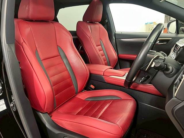 RXRX300 “F SPORT” 内装他