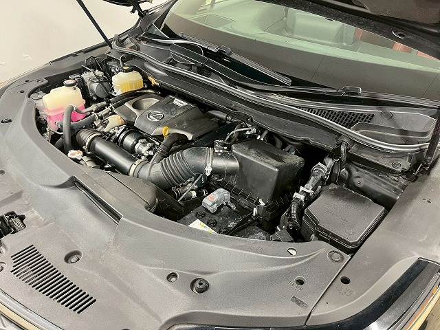 レクサス&nbsp;RXの画像18