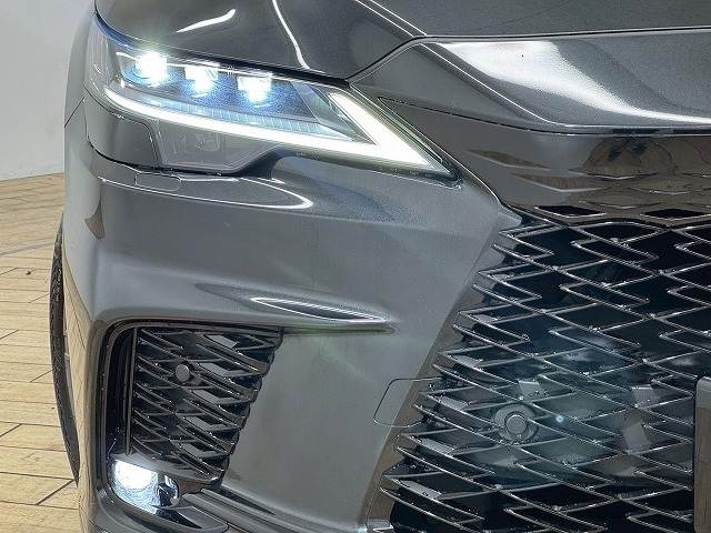 レクサス&nbsp;RXの画像19