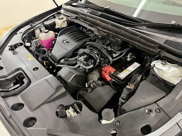 レクサス&nbsp;RXの画像18
