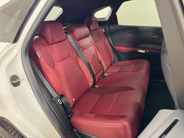 RXRX500h “F SPORT Performance” 内装他