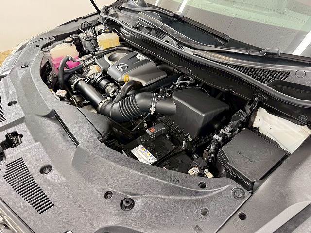 レクサス RXの画像18