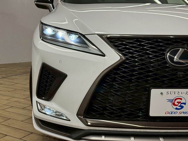 レクサス RXの画像19