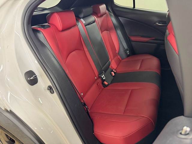 UXUX200 “F SPORT” 内装他