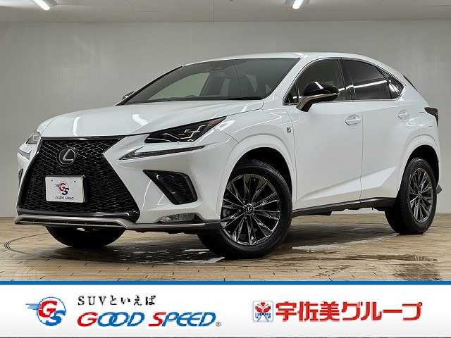 レクサスNX□NX300 特別仕様車 クール&ブライト 外観