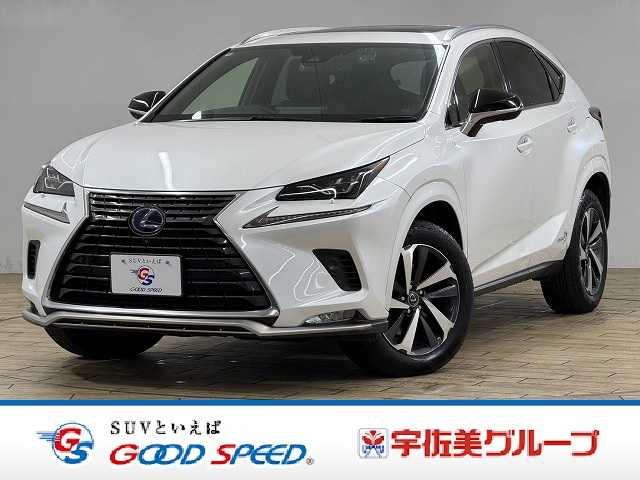 レクサスNXＮＸ３００ｈ　スパイス＆シック　特別仕様車／ムーンルーフ／パノラミックビューモニター／ＡｐｐｌｅＣａｒＰｌａｙ／レーダークルーズコントロール／シートクーラー／シートヒーター／ブラインドスポットモニター／電動リヤゲートＬｔｅｘシート 外観