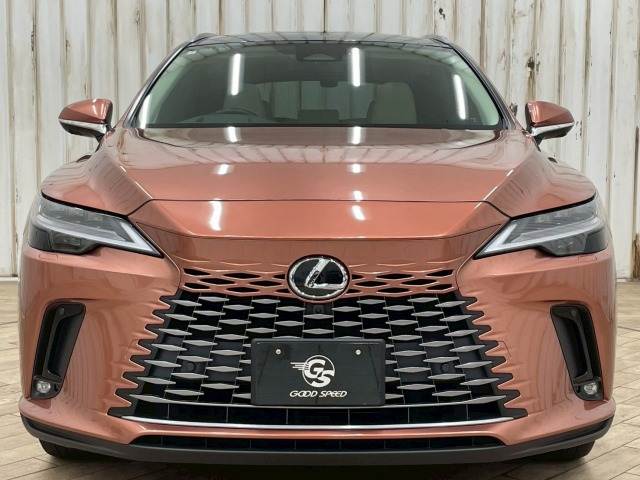 レクサス RXの画像12