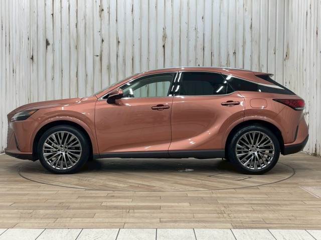 レクサス RXの画像14