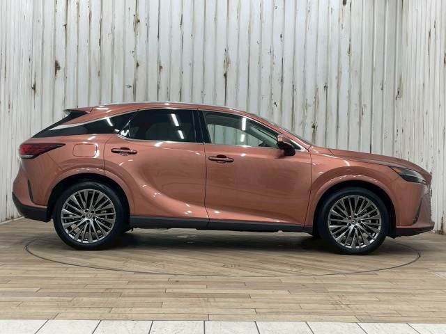 レクサス RXの画像15