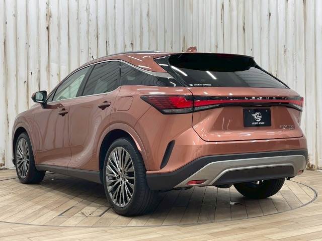 レクサス RXの画像17