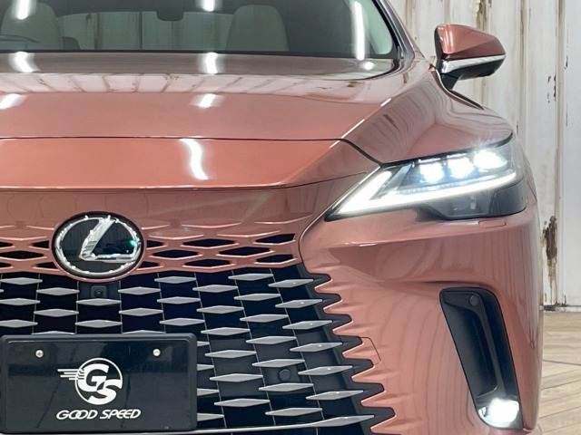 レクサス RXの画像18