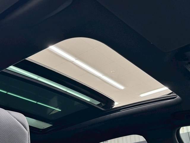 DS7 CROSSBACKOPERA BlueHDi 内装他