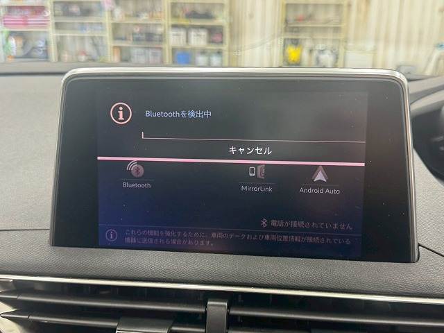 3008GT レザーパッケージ 内装他