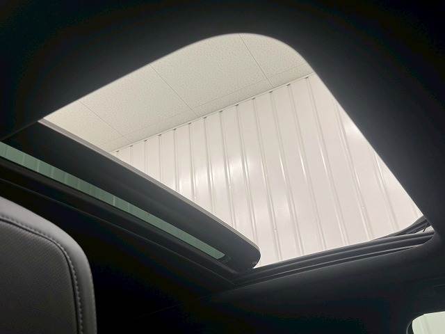 3008GT レザーパッケージ 内装他