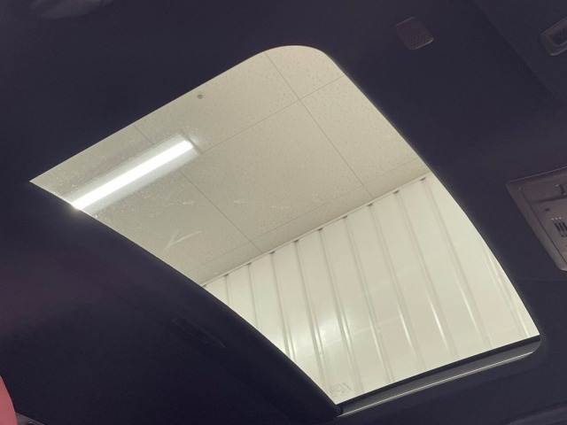 NXNX300 “F SPORT” 内装他