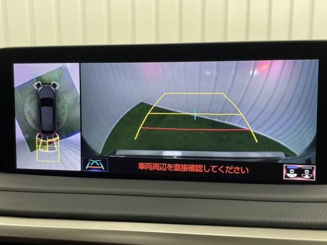 RXRX300 “F SPORT” 内装他