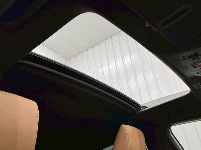 ESES300h “version L” 内装他