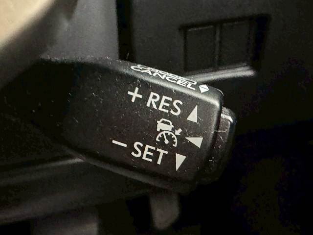 NXNX300h アーバンスタイル 内装他