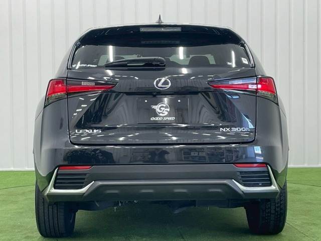 レクサス&nbsp;NXの画像13