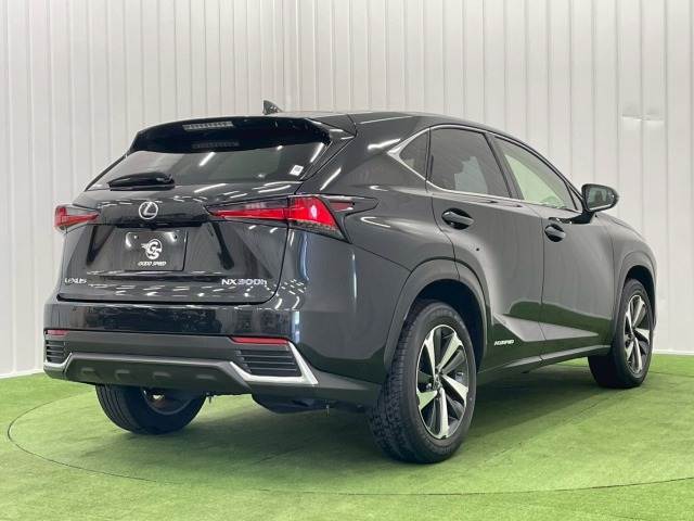 レクサス&nbsp;NXの画像16
