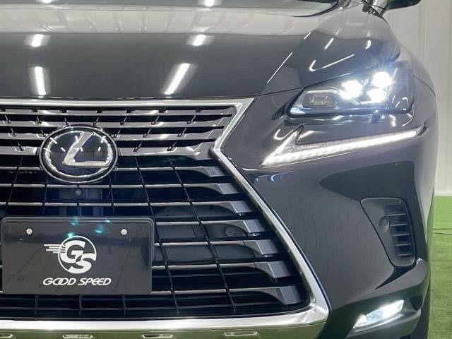 レクサス&nbsp;NXの画像18