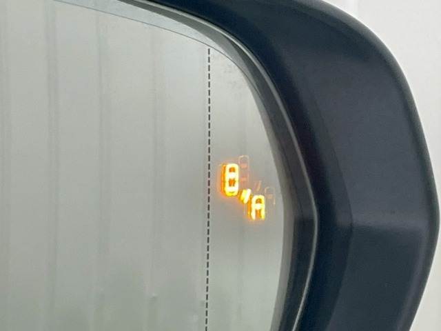 NXNX300h “I package” 内装他