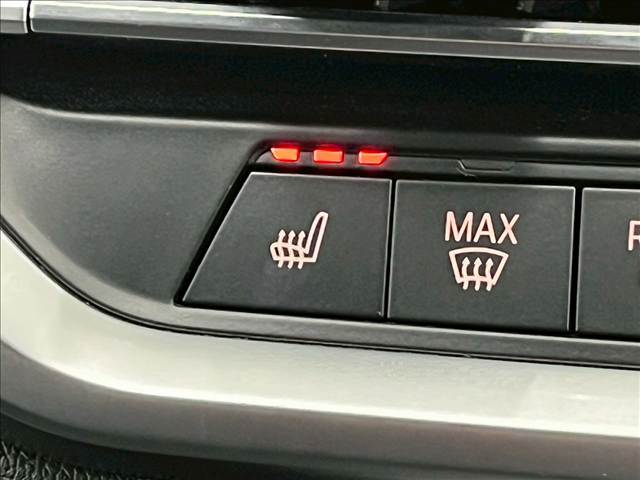 BMW&nbsp;3Series Sedanの画像8