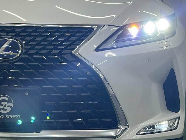 レクサス RXの画像18