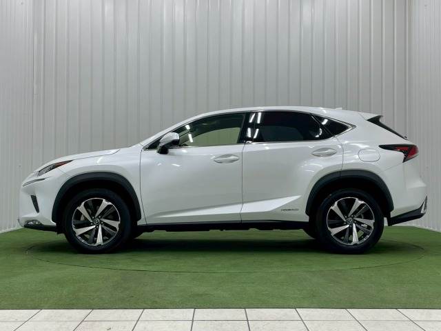 レクサス&nbsp;NXの画像14