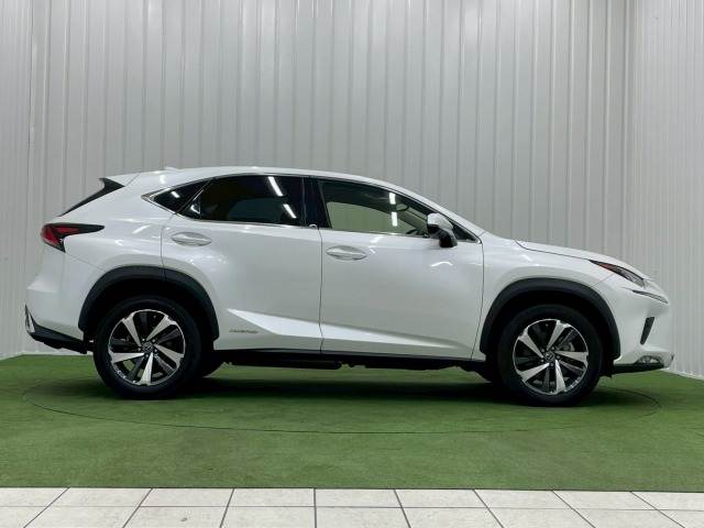 レクサス&nbsp;NXの画像15