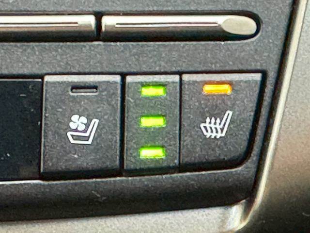 レクサス&nbsp;NXの画像6