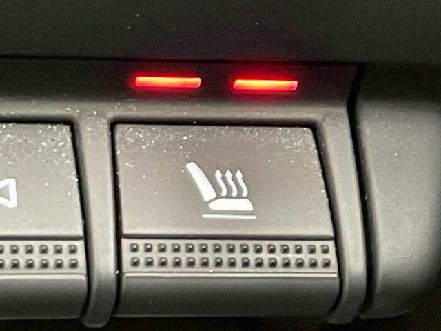 ルノー ARKANAの画像7