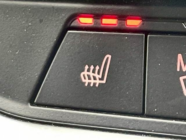 BMW&nbsp;3Series Sedanの画像8