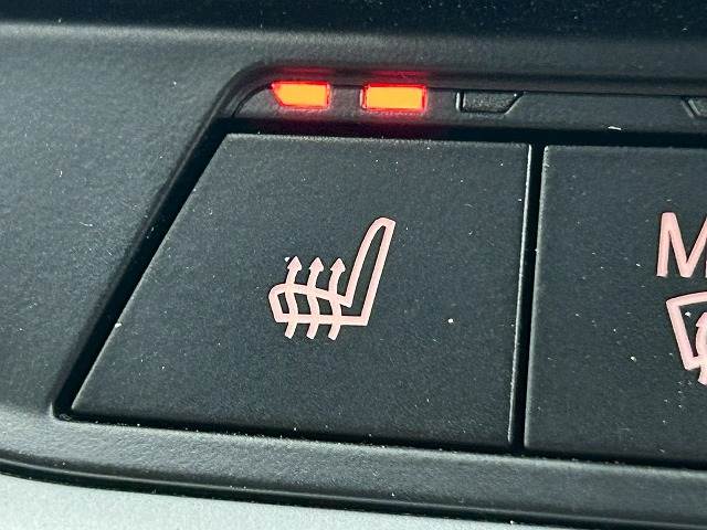 BMW&nbsp;3Series Sedanの画像8